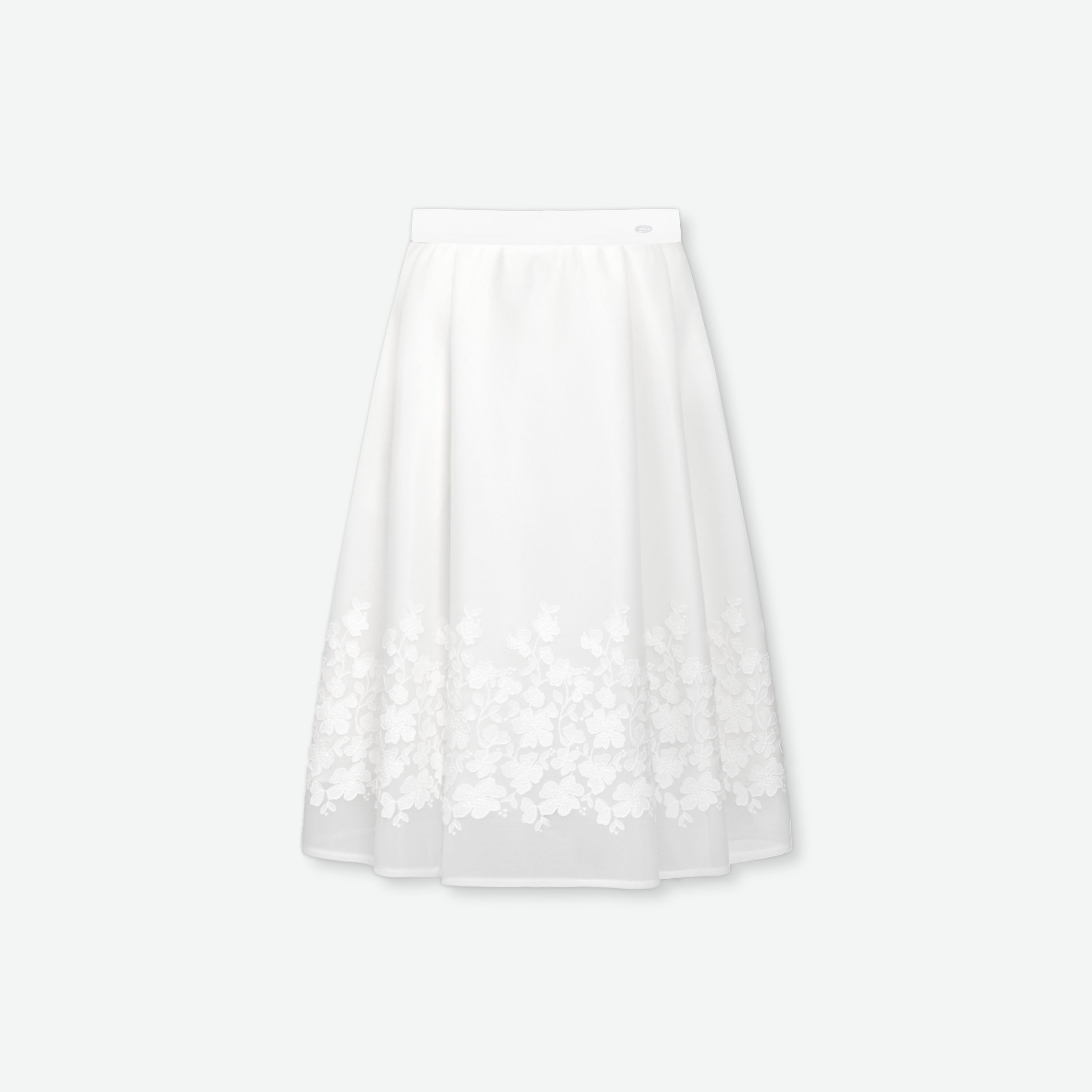 Sheer Skirt